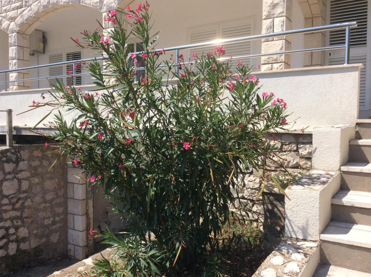Lux Apartments Korčula Eksteriør billede